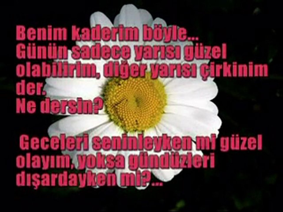 Hayatınız Seçtiğiniz Kadındır...