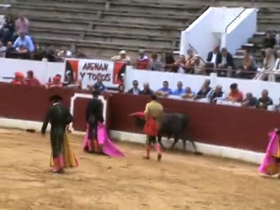"Kike" (Cédric Fructueux) Aire sur Adour 2010