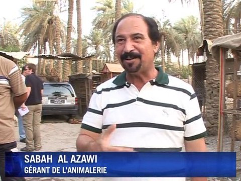 Bagdad : A saisir : un lion, deux ours et des loups !