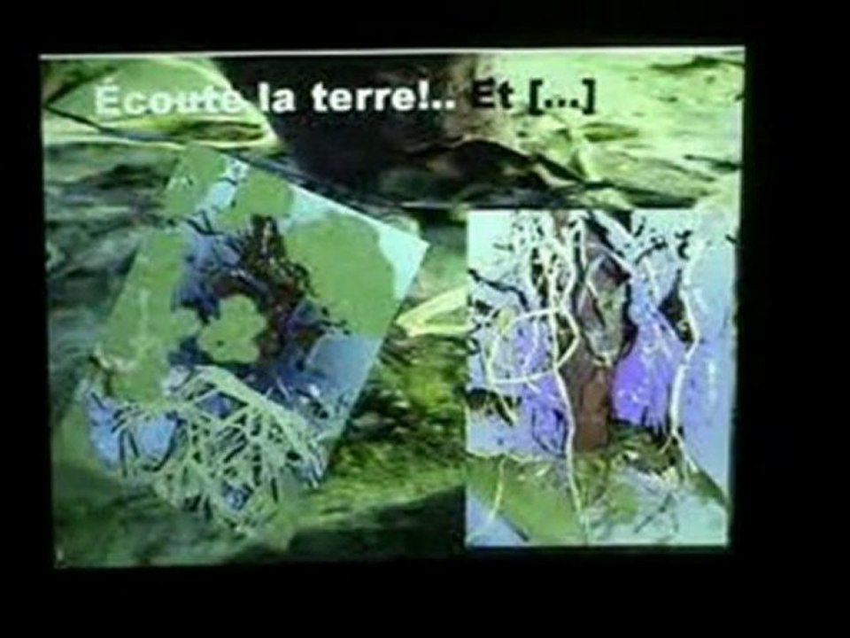 Odyssée au long cours :