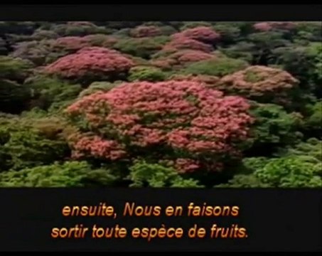 Signe : le vent - Qui sème l'injustice récolte la tempête