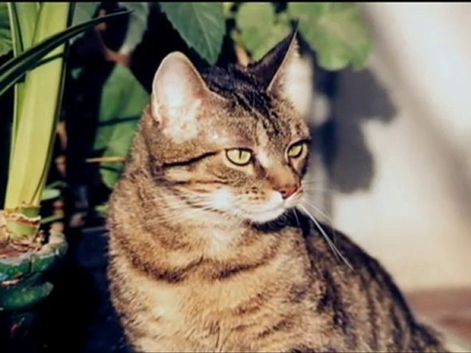 In memoriam Nini