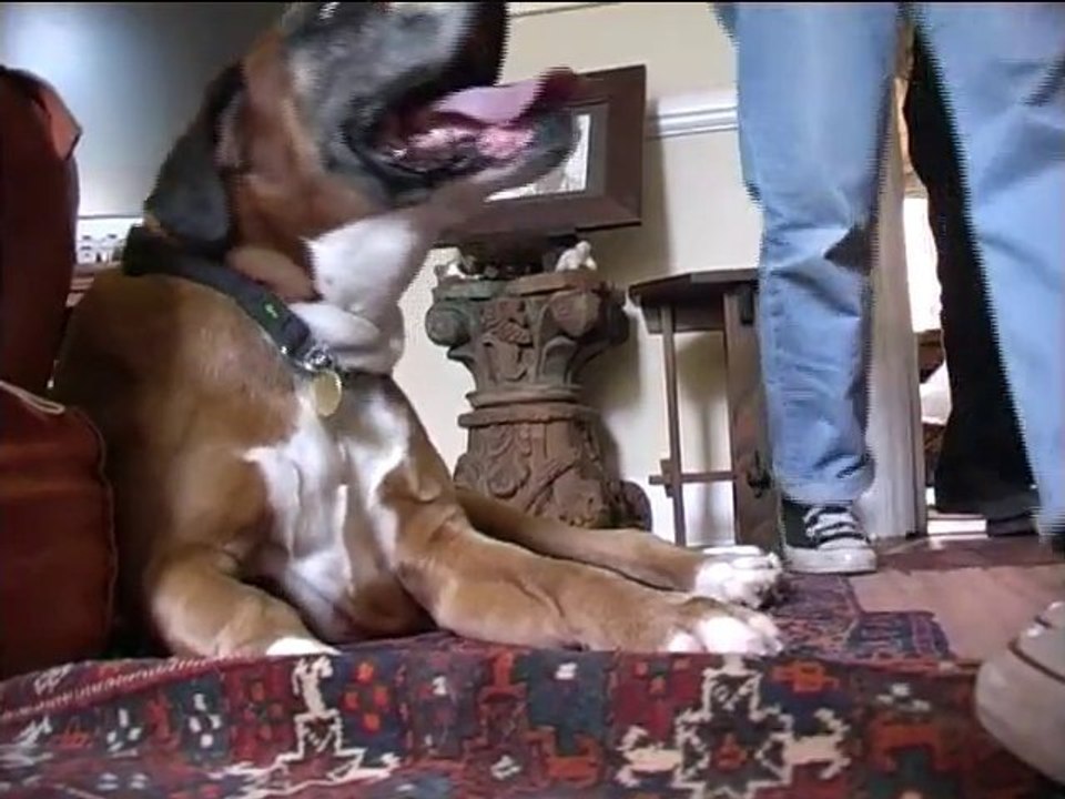 "Don't Push It" by Zeina Hurst