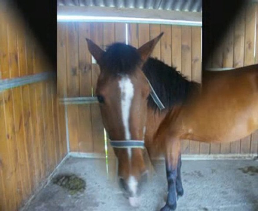 Ma Viie Eglantiine ♥