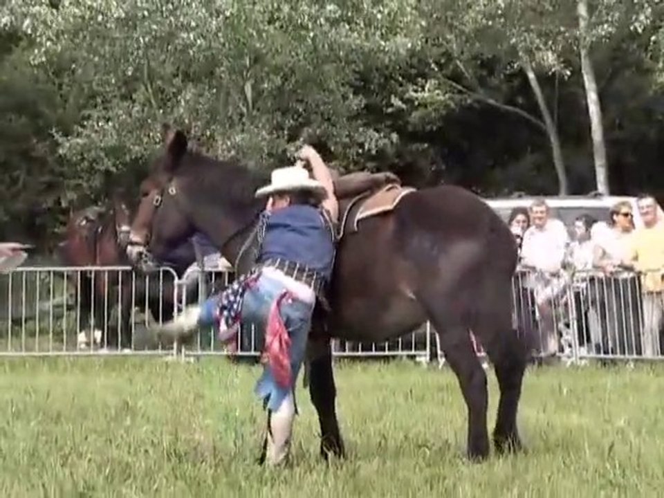 Fête du Cheval 2010 de Gréoux-Les-Bains
