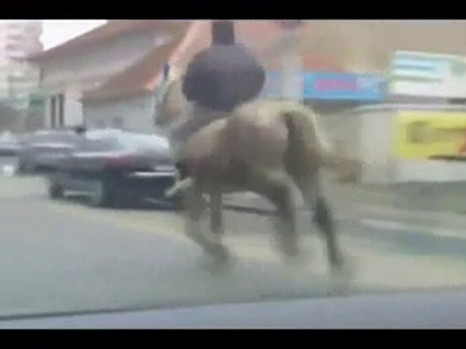 Saatte 70 km hızla giden at