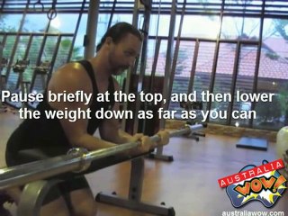 Barbell Palms Up Wrist Curl