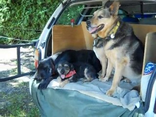 arpège au bord du lac 011