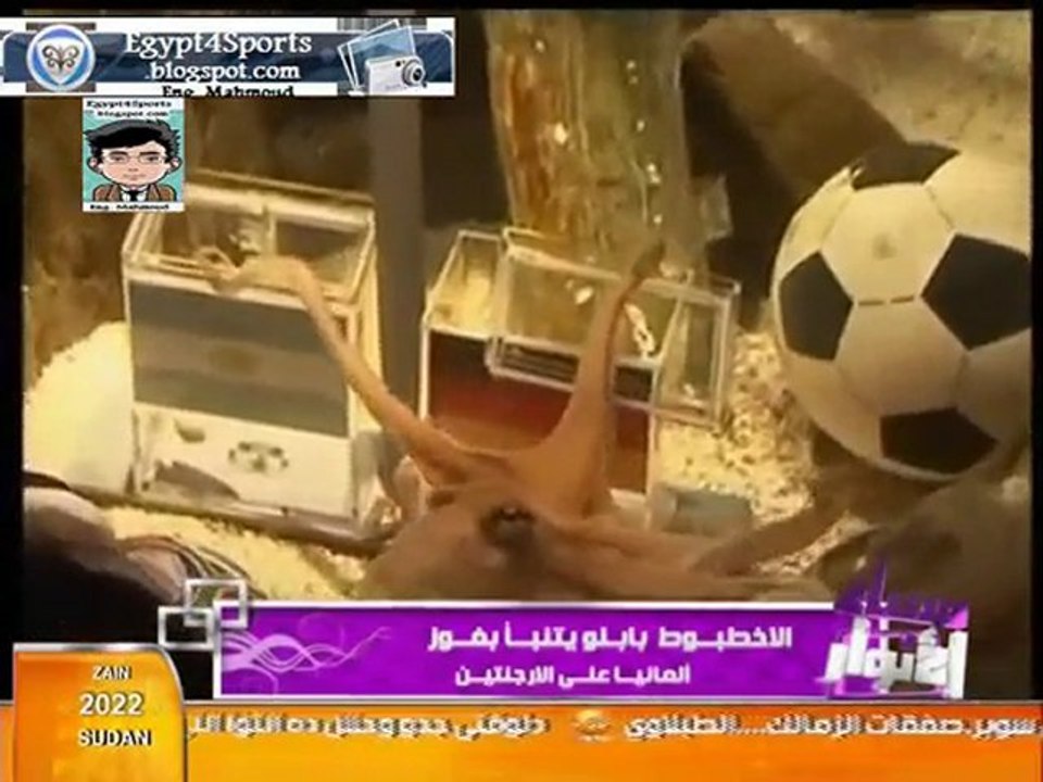 Octopus Paul predict Germany&Argentina الأخطبوط بابلو يتنبأ
