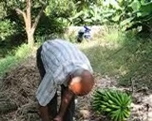 efe dayının muz bahçesi alanya