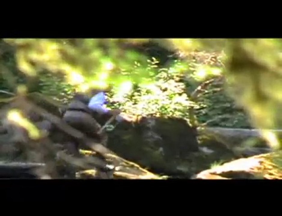 Fresh water fishing Get a Breathe of Fresh Air! - Air Filter