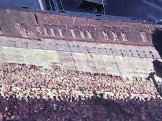 MAIN SQUARE GARDEN Gossip