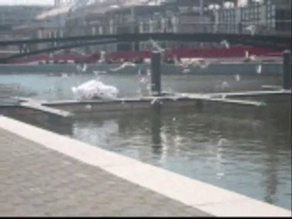 Lacher de colombes - Lyon - Inauguration Darse de Lyon