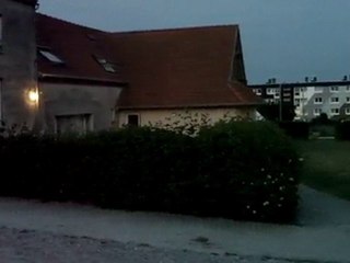 petit déjeuner SOUS l'herbe suite 7