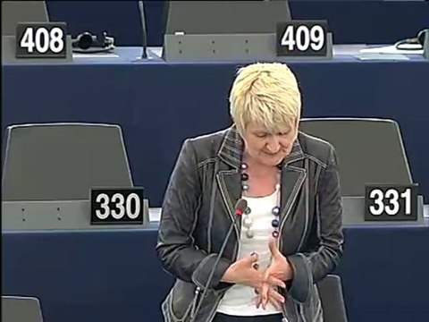 Marian Harkin on Petitions Committee 2009