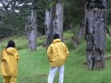 Totem Poles of Haida Gwaii - British Columbia, Canada