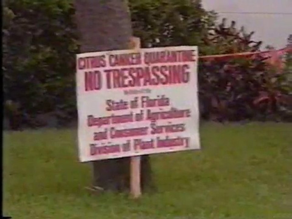 10 A/N late news elements 1986