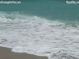 Free Stock Footage of Beach Waves