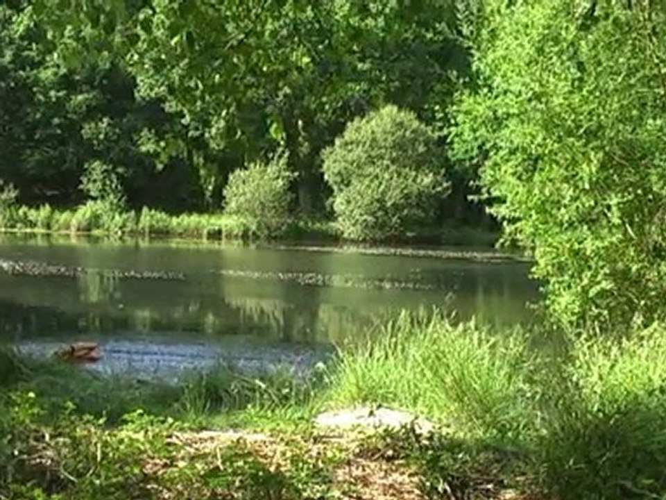 Classe SCENE 3-Batard