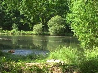 Classe SCENE 3-Batard