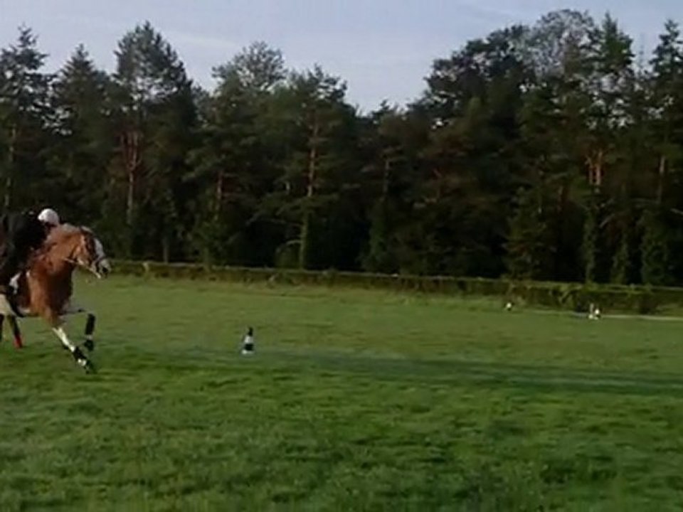 COLOR NOTCH UP au gazon