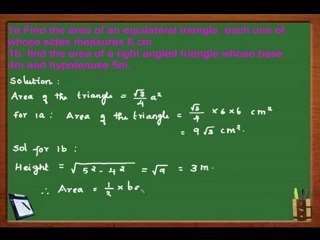 Expert Math Assignment Help for Area Problems 🧮