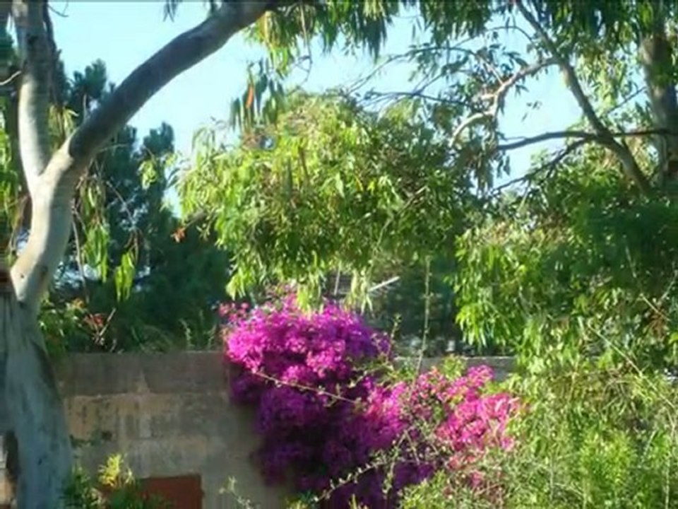 Bonjour de l'Ile Rousse