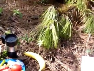 İstanbul - Anadolu Yakası - Alemdağ