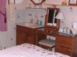 Owlets in Guest House in Croydon