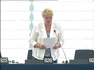 Renate Weber on Terrorist Finance Tracking Program