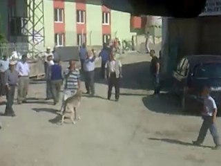 3 Temmuz 2010 Köye Giriş