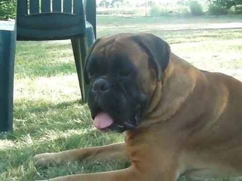 c'xipheos 2ans et demi