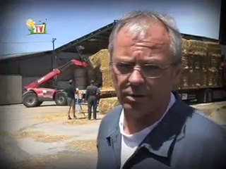 Opération paille 2010 // première livraison