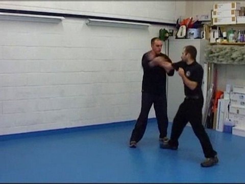 Wing chun techniques