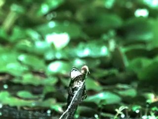Tam Anlamıyla Avucunu Yalamak Bu Işte  )