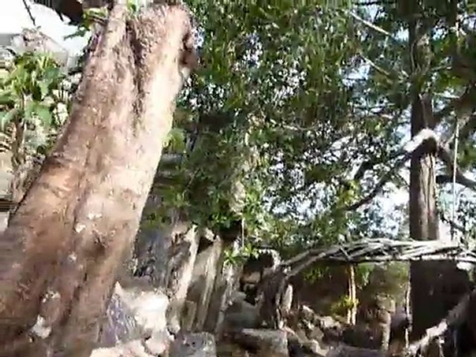 [Cambodge] Un temple a Angkor