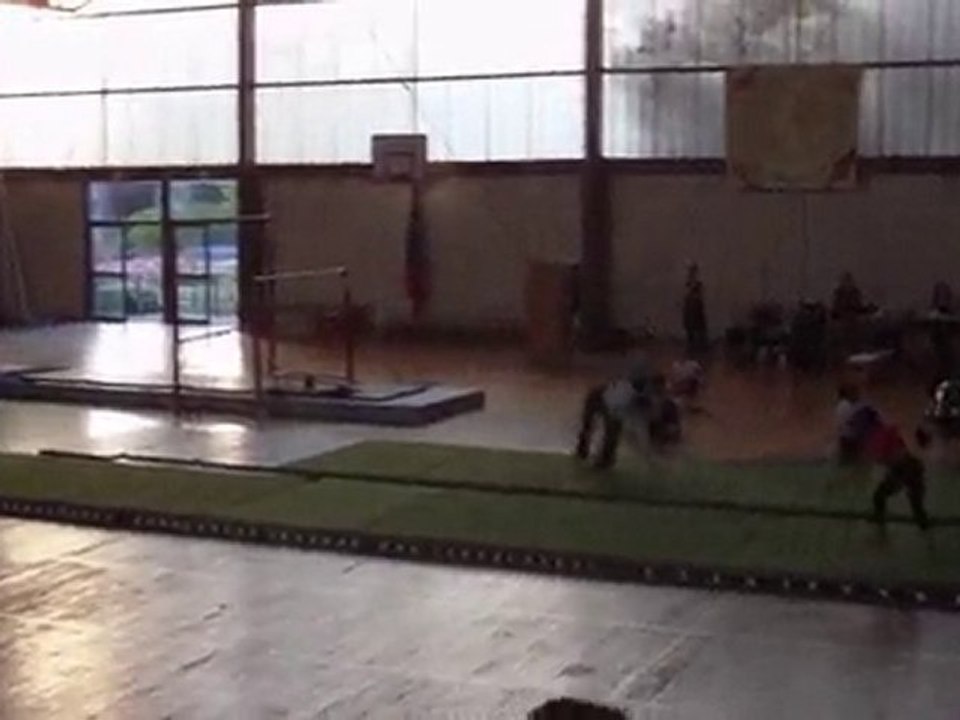 danse poussine 2010
