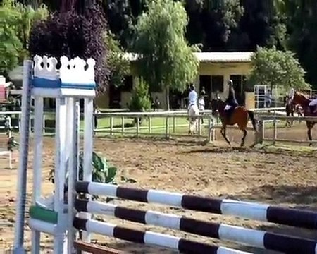 concours chevaux CSO amelie les bains