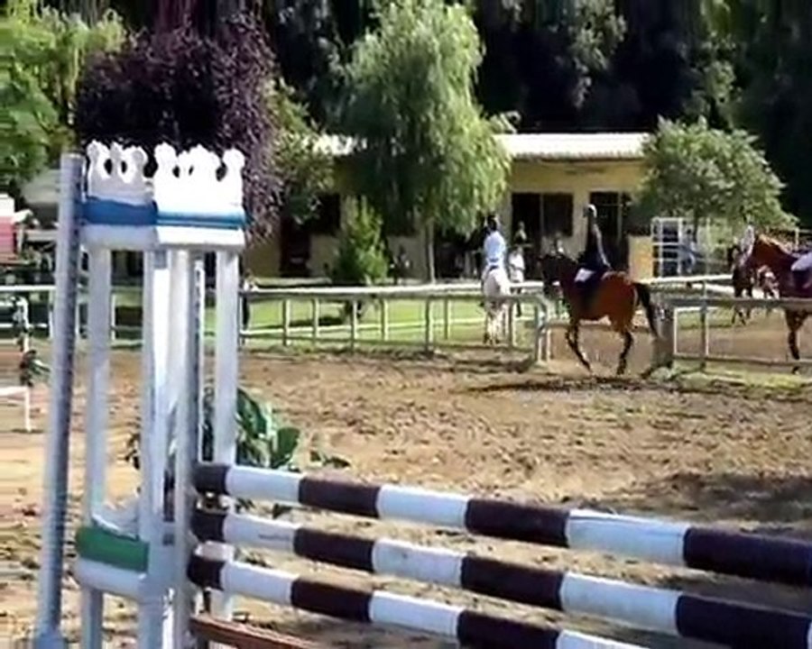 concours chevaux CSO amelie les bains