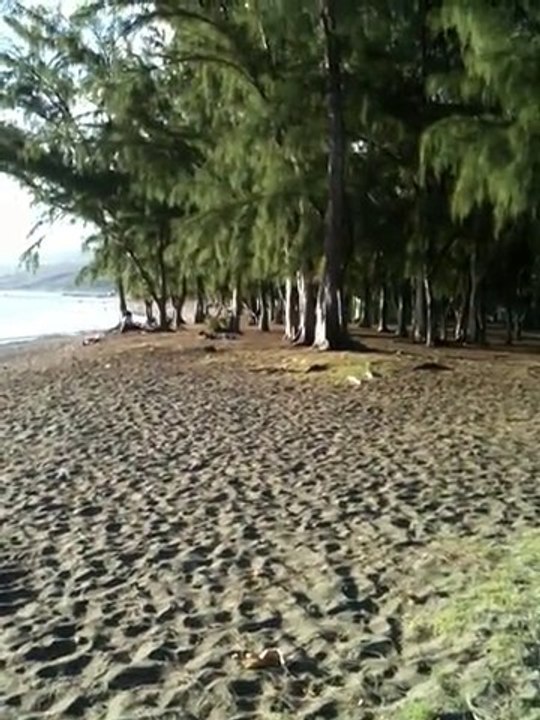 Saint Leu plage
