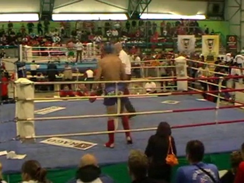 Puchar Świata K-1 2010 walka 1 - Wojciech Kosowski vs Ljubo Jalovi