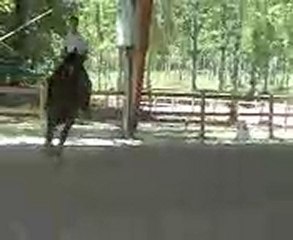 Jongleur du Manoir J F Lagarde