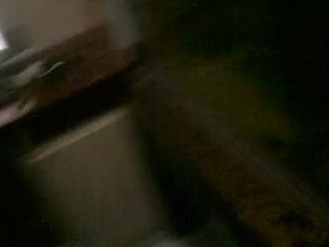 SATILIK CİKLET BALIKLARI