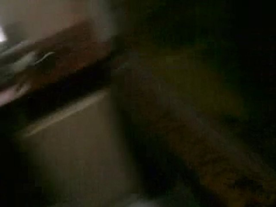 SATILIK CİKLET BALIKLARI