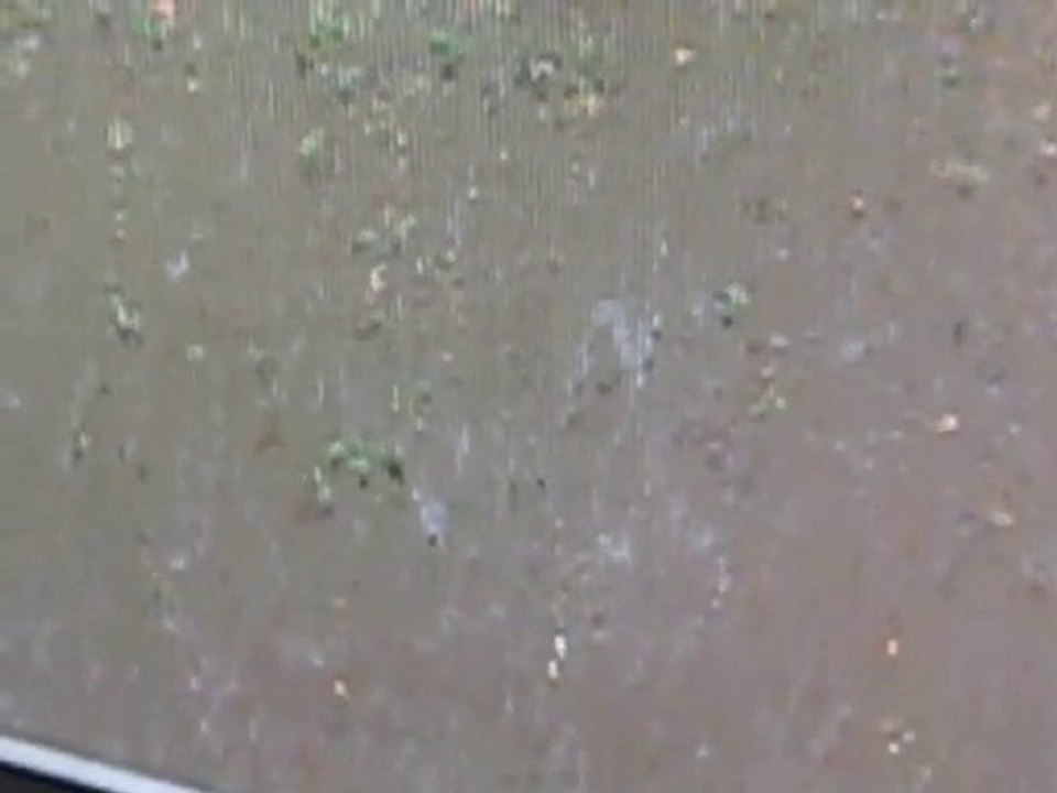 marée noire bp caroline du sud sous une pluie de pétrole