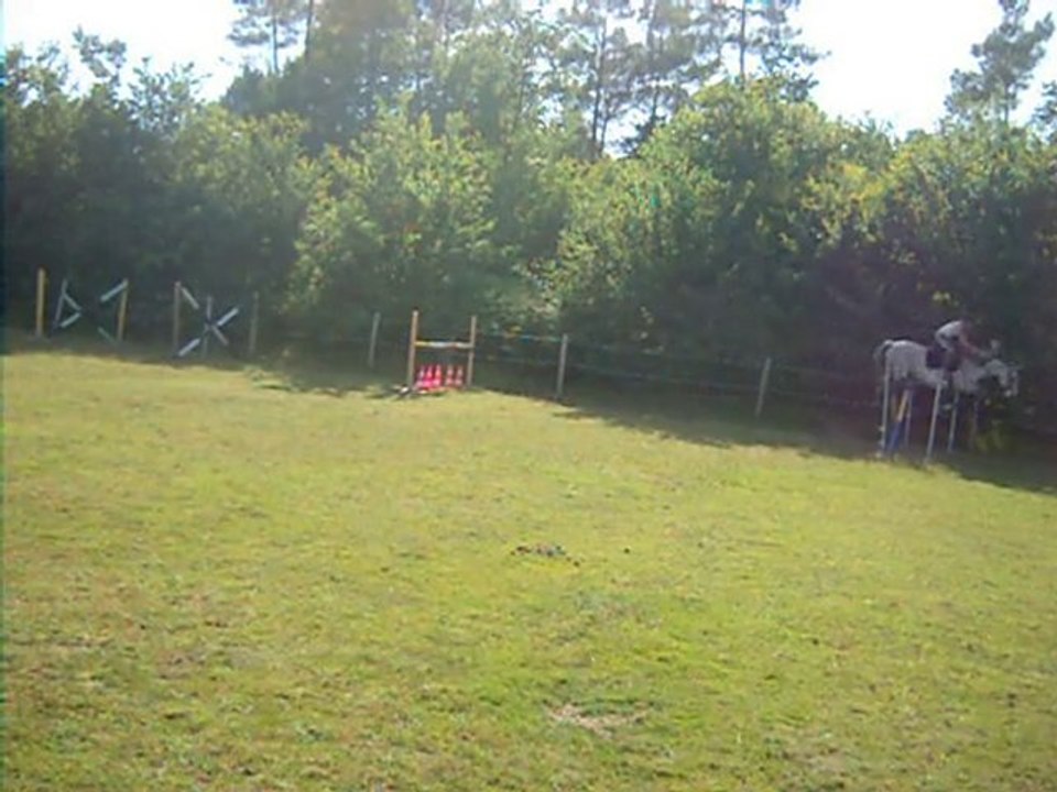 5 et 6 juillet 2010 obs 012