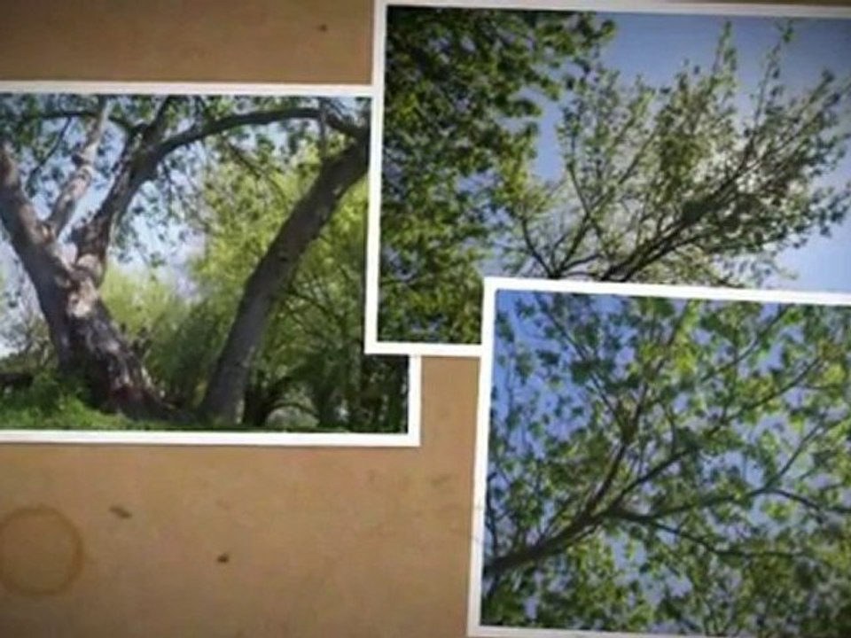 nature paisible