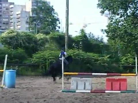 06 juillet 2010 - entrainement lamotte - Julie et Nabucko
