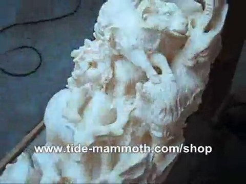mammoth ivory tusk carving African Animals detail close up