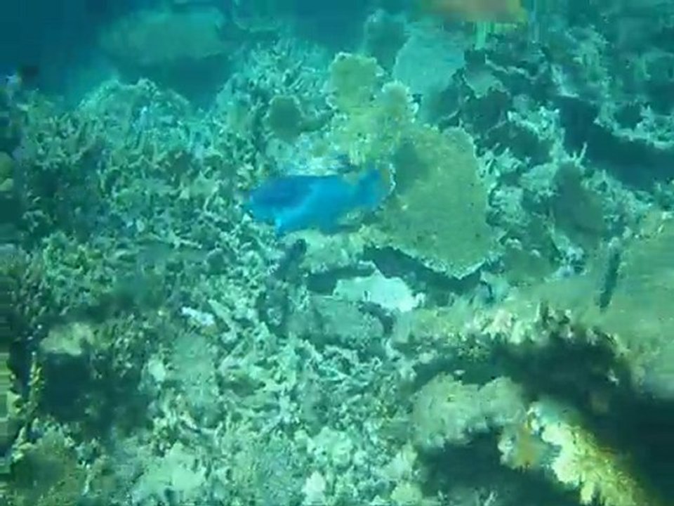 snorkelportdouglas_0001